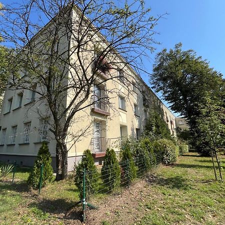 Apartament Centrum Rp Kattowitz Exterior foto